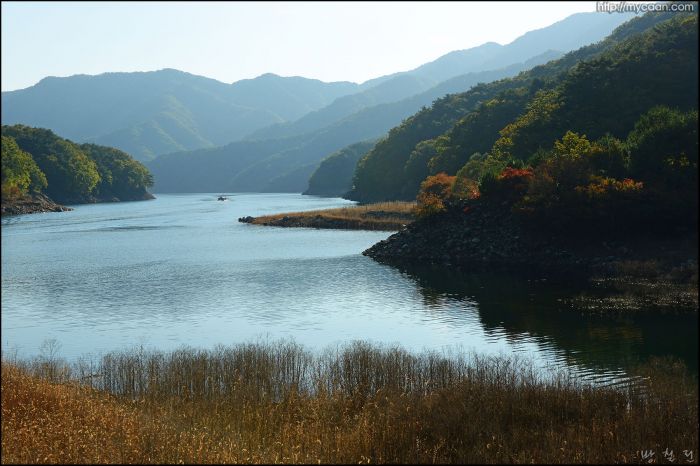 사용자 삽입 이미지